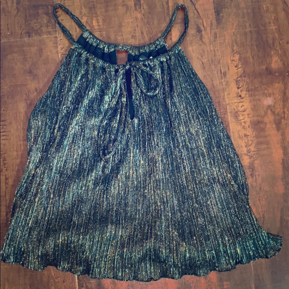 Zara Metallic top